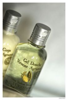 lille, hotels lille, lille hotels, hotel, hotel treille, cathedrale de la treille, cathedrale lille, hotel vieux lille